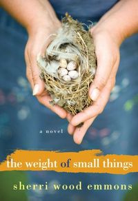 The Weight of Small Things by Sherri Wood Emmons