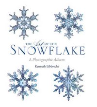 The Art Of The Snowflake