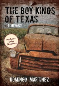 The Boy Kings Of Texas by Domingo Martinez