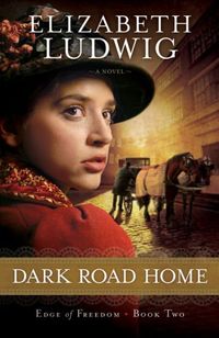 Dark Road Home by Elizabeth Ludwig