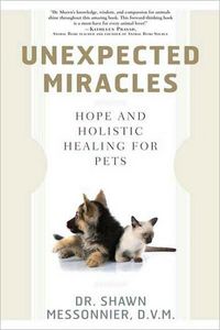 Unexpected Miracles by Shawn Messonnier