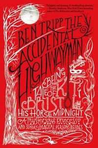 The Accidental Highwayman by Ben Tripp