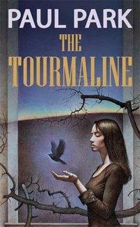 The Tourmaline by Paul Park