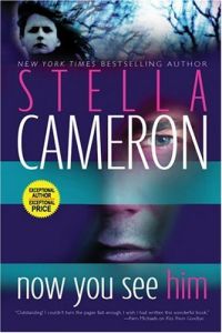 Now You See Him by Stella Cameron