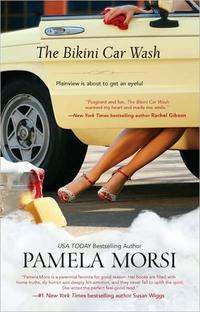 The Bikini Car Wash by Pamela Morsi