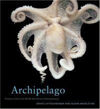 Archipelago by David Liittschwager