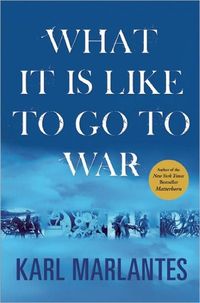 What It Is Like to Go to War by Karl Marlantes