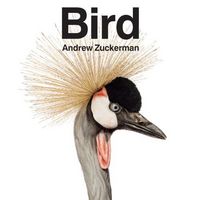 Bird by Andrew Zuckerman