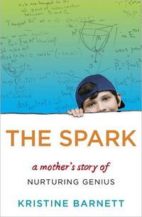 The Spark by Kristine Barnett
