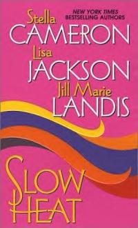 Slow Heat by Stella Cameron