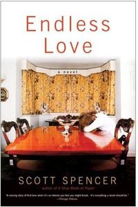 Endless Love by Scott Spencer