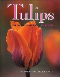 Tulips by Becky Heath