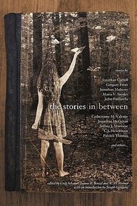 The Stories In Between by Greg Schauer