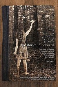 The Stories In Between by W.H. Horner