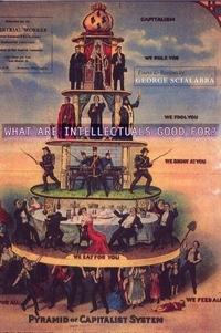 What Are Intellectuals Good For?