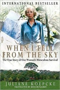 When I Fell From The Sky by Juliane Diller