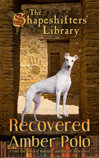 Recovered by Amber Polo