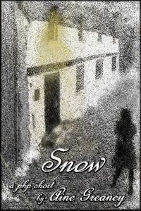 Snow by Aine Greaney