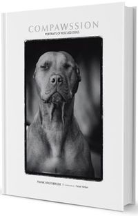 Compawssion by Frank Bruynbroek