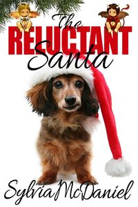 Excerpt of The Reluctant Santa by Sylvia McDaniel
