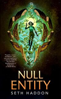 Null Entity