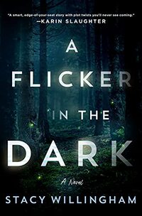 A Flicker in the Dark