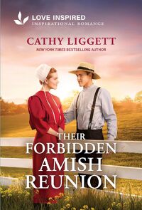 Their Forbidden Amish Reunion
