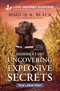 Uncovering Explosive Secrets