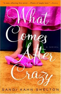What Comes After Crazy by Sandi Kahn Shelton
