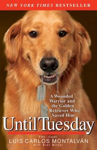 Until Tuesday by Luis Carlos Montalvan