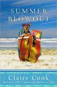 Summer Blowout by Claire Cook