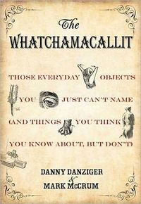 The Whatchamacallit by Danny Danziger