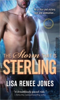 The Storm That Is Sterling by Lisa Renee Jones