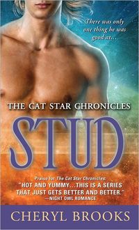 Stud by Cheryl Brooks