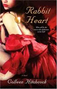 Rabbit Heart by Colleen Hitchcock