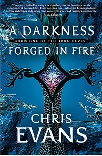 A Darkness Forged In Fire by Chris Evans