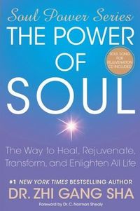 The Power of Soul by Zhi Gang Sha
