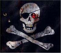 Pirates by John Matthews