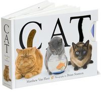 Cat by Matthew Van Fleet