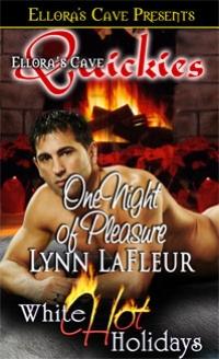 White Hot Holidays - One Night of Pleasure by Lynn LaFleur