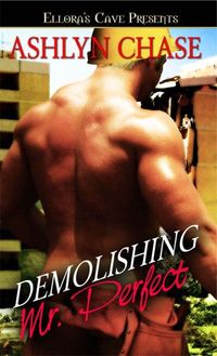 Demolishing Mr. Perfect by Ashlyn Chase