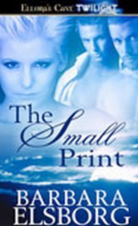 The Small Print by Barbara Elsborg
