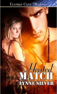 Heated Match by Lynne Silver