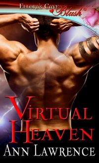 Excerpt of Virtual Heaven by Ann Lawrence