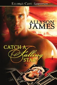 Catch A Falling Star by Allyson James
