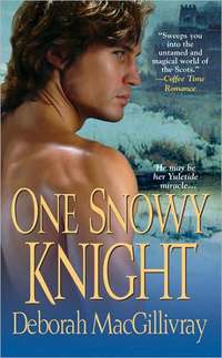 One Snowy Knight by Deborah MacGillivray