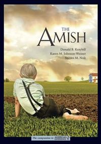 The Amish by Donald B. Kraybill