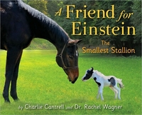 A Friend For Einstein, The Smallest Stallion by Charlie Cantrell