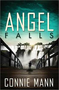 Angel Falls by Connie Mann