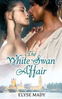 The White Swan Affair by Elyse Mady